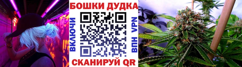 Бошки Шишки ГИДРОПОН  Купить закладки  Болотное 